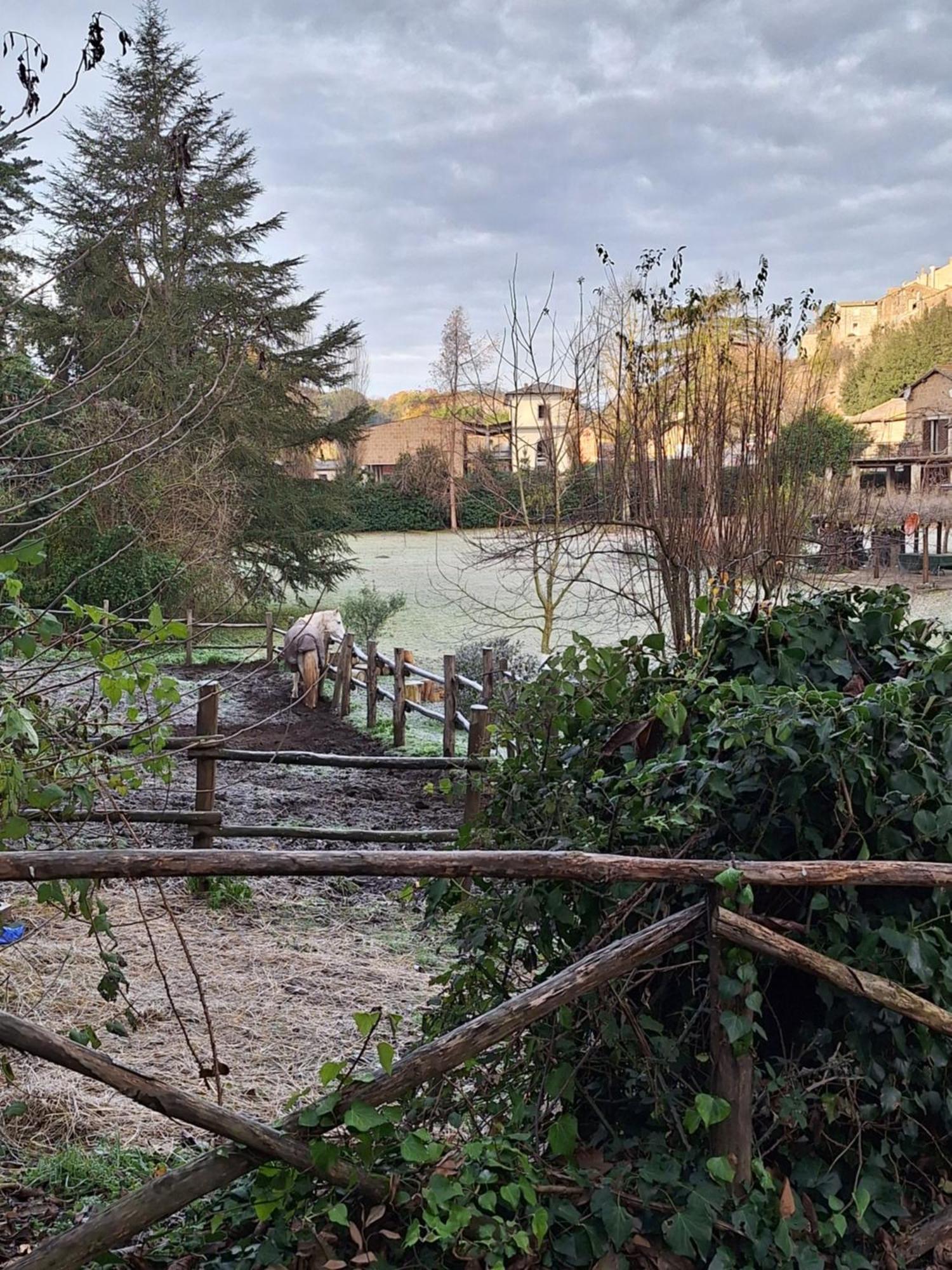 Hotel Radici Etrusche Sutri Exteriér fotografie
